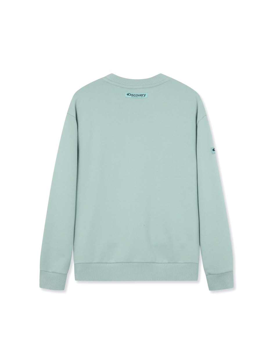 Discovery 素色 小圖騰 長袖 大學T 綠色 男