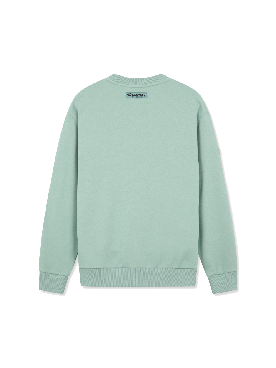 Discovery 素面經典 小標LOGO 長袖  大學T 綠色 男