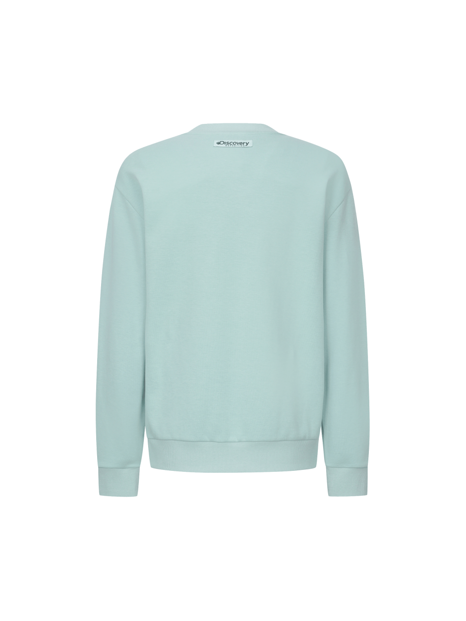 Discovery 熱門款 小標LOGO 長袖  大學T 綠色 男