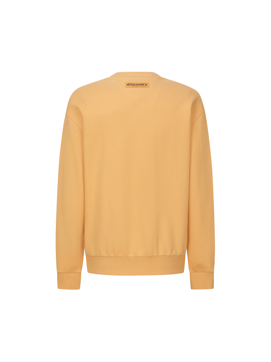Discovery 熱門款 小標LOGO 長袖  大學T 橘黃色 男