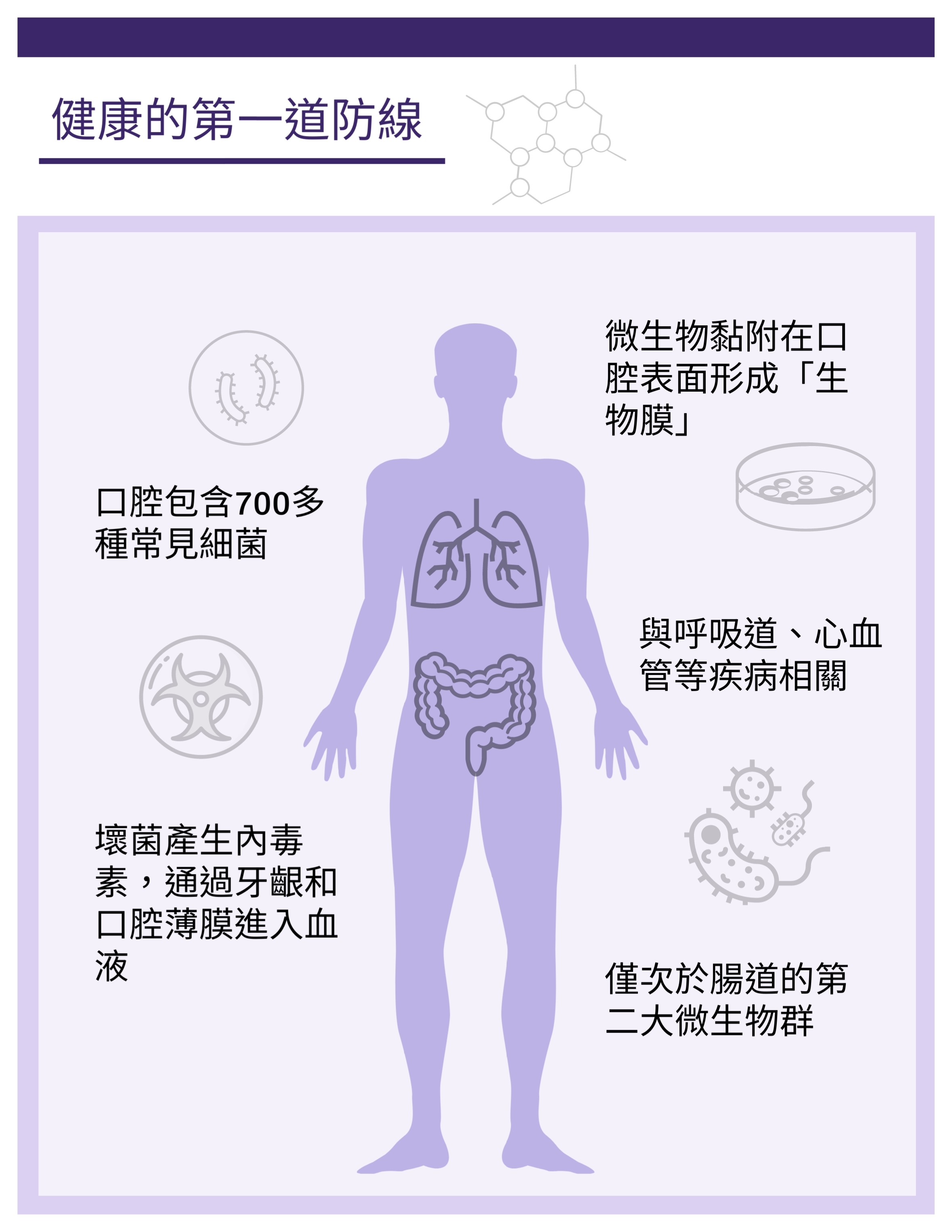 口腔微生態測試組合