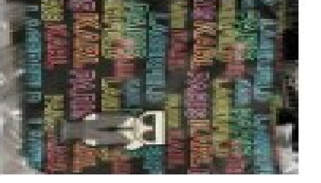 [S] KARL LAGERFELD AMOUR NYLON NOVELTY TOTE,BLACK NEON CITRUS, 194775404191 (SKL290)