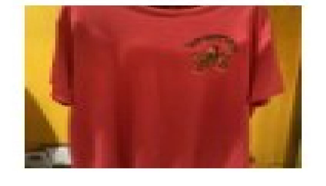 [S] YSW TIGER T-SHIRT F RIA,RED, G4WTS08RDRA (SYW114)