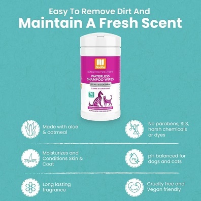 美國Nootie 濕紙巾 70pcs - 日本櫻花香味