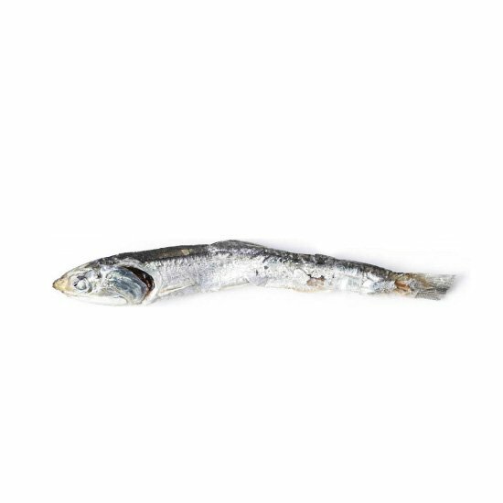 【white fox】Seto Inland Seafood Sardine 30g "For Dogs and Cats"