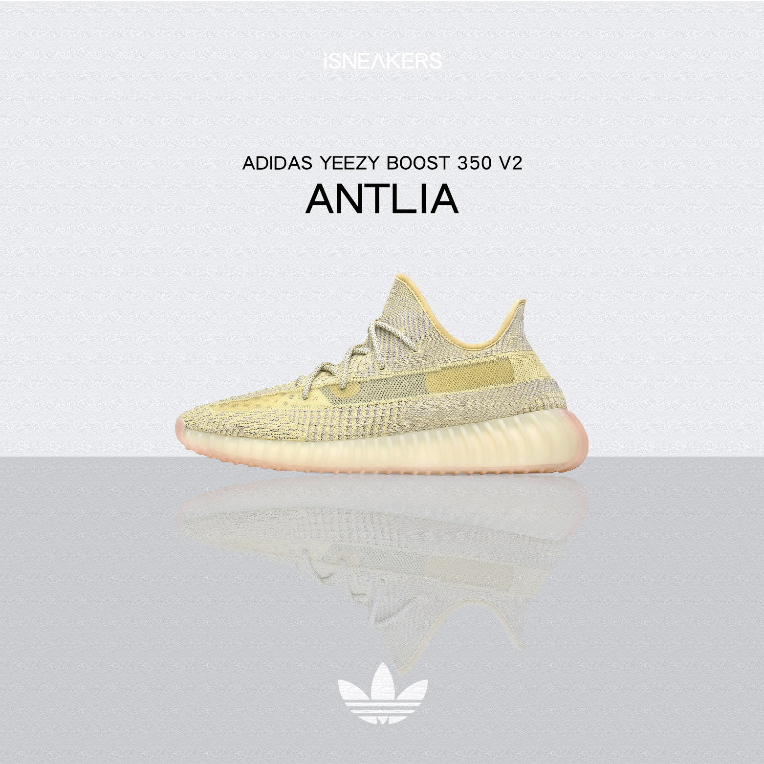 Yeezy 35 v2 on sale antlia