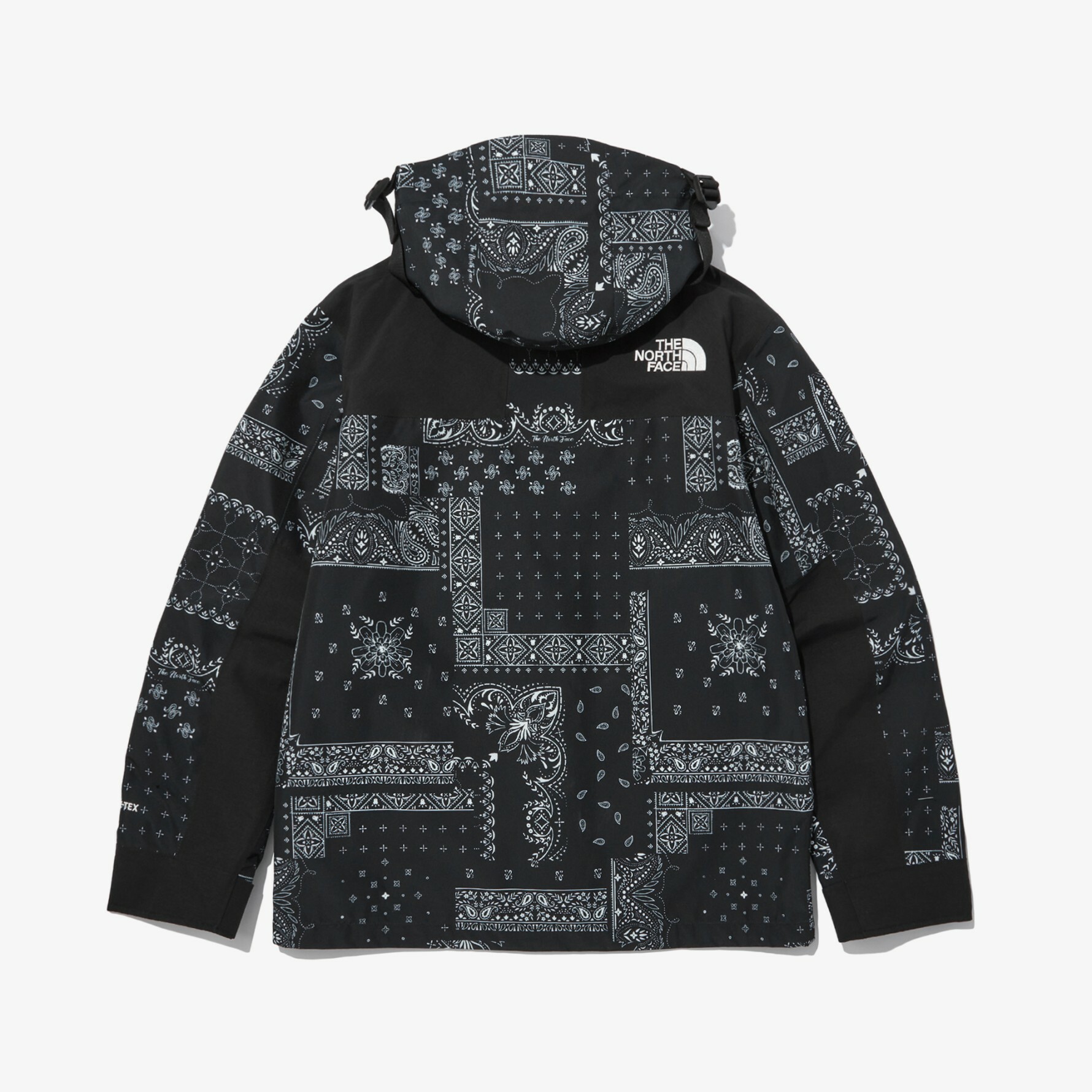 THE NORTH FACE NOVELTY ECO GTX 變形蟲 腰果花 連帽外套 黑 NJ2GN60A