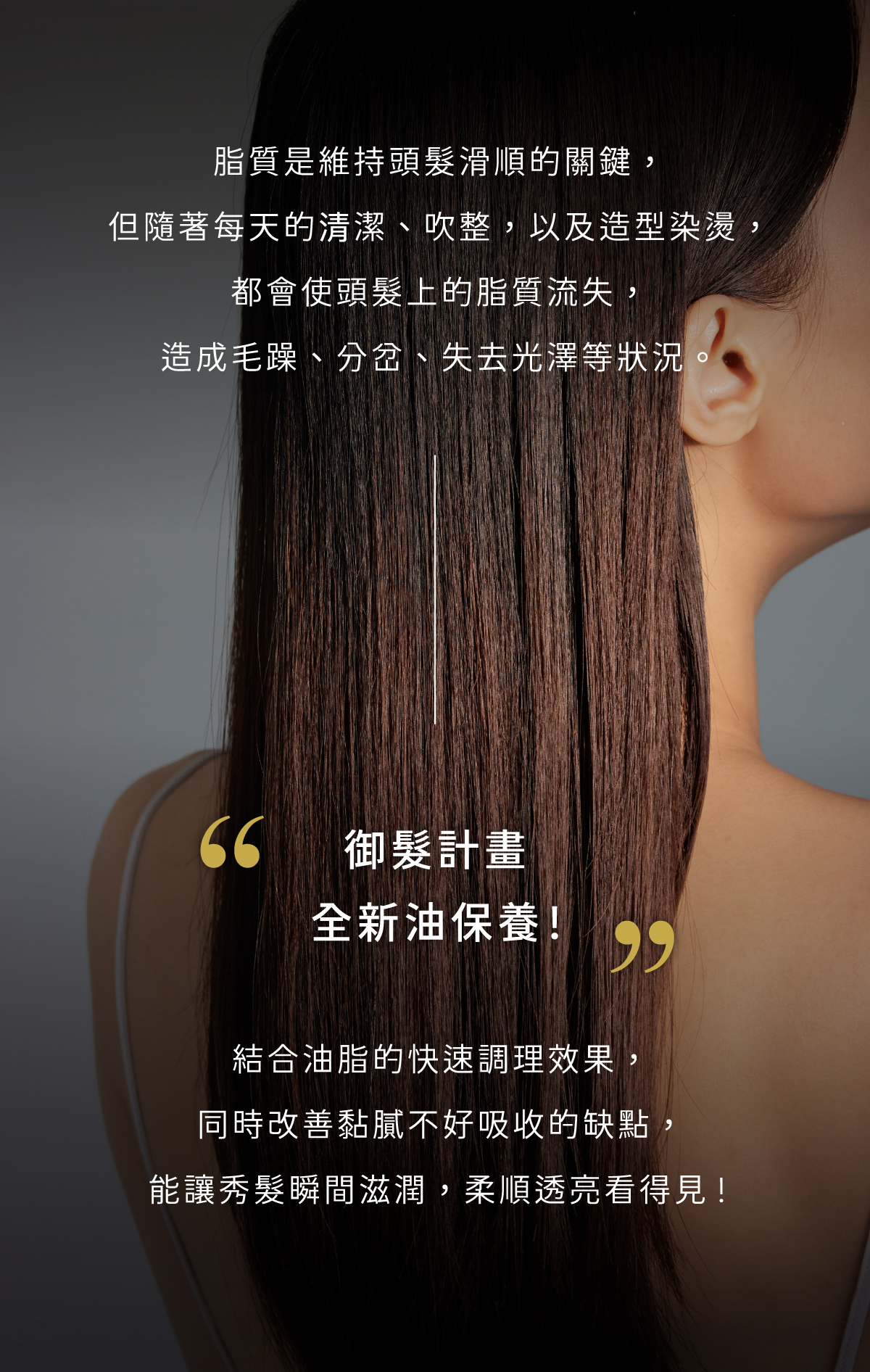 御髮計畫 全新油保養 柔順透亮看得見