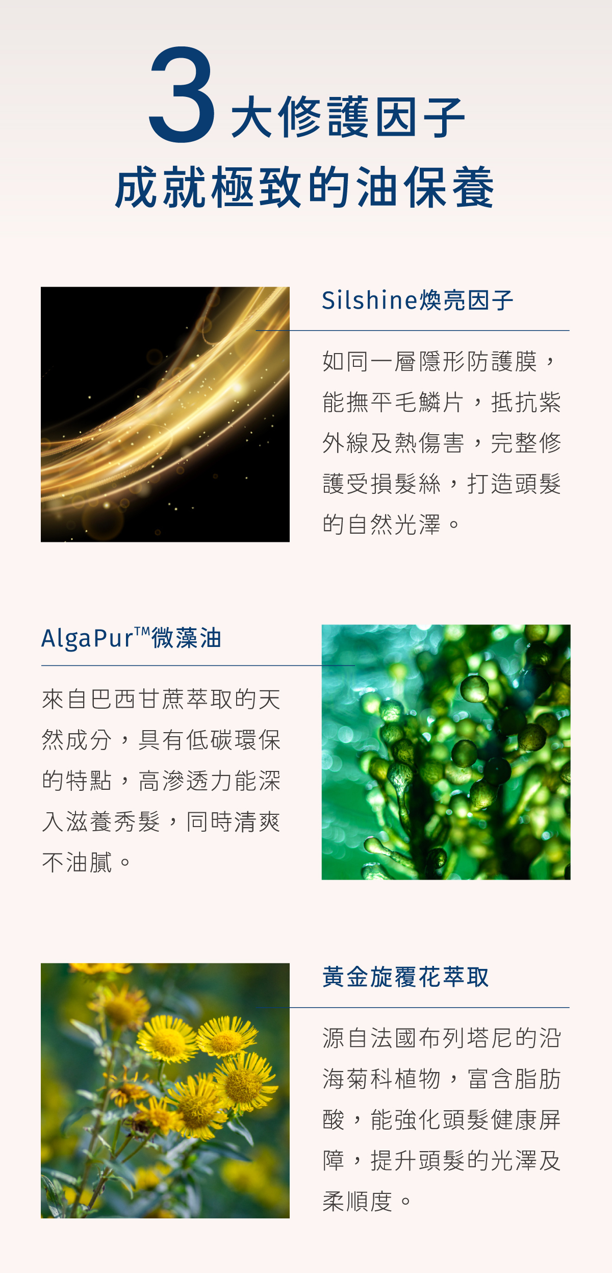三大修護因子 成就極致油保養