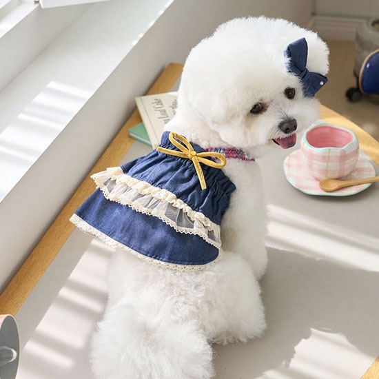 吊帶亞麻蕾絲層裙-單寧Cancan Bustier -It’s sunny outside