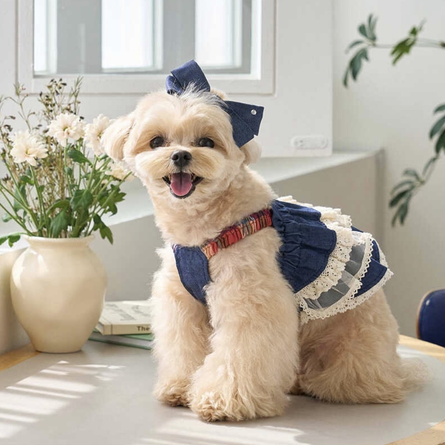 吊帶亞麻蕾絲層裙-單寧Cancan Bustier -It’s sunny outside