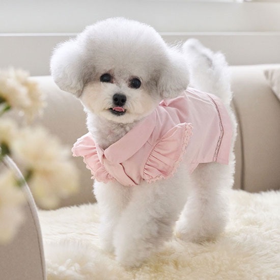 Angel 天使雪紡襯衫-粉紅-It’s sunny outside