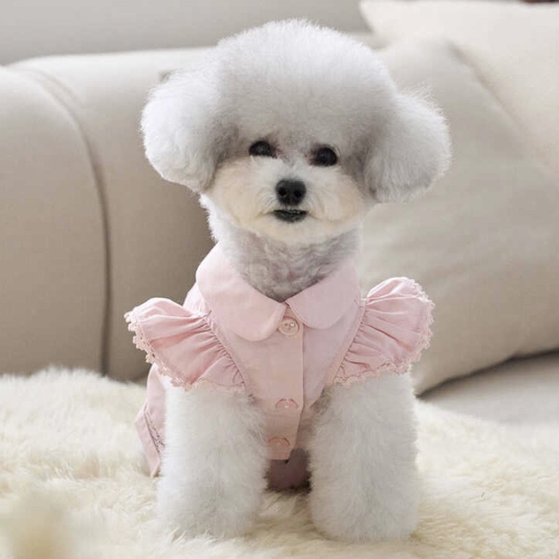 Angel 天使雪紡襯衫-粉紅-It’s sunny outside