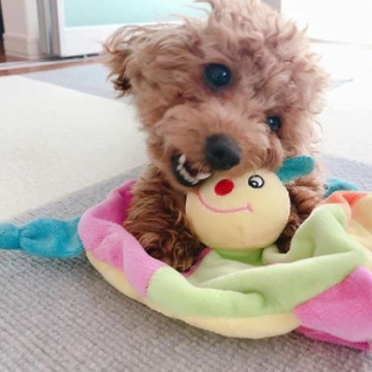 日本caterpy- 響紙咬咬布