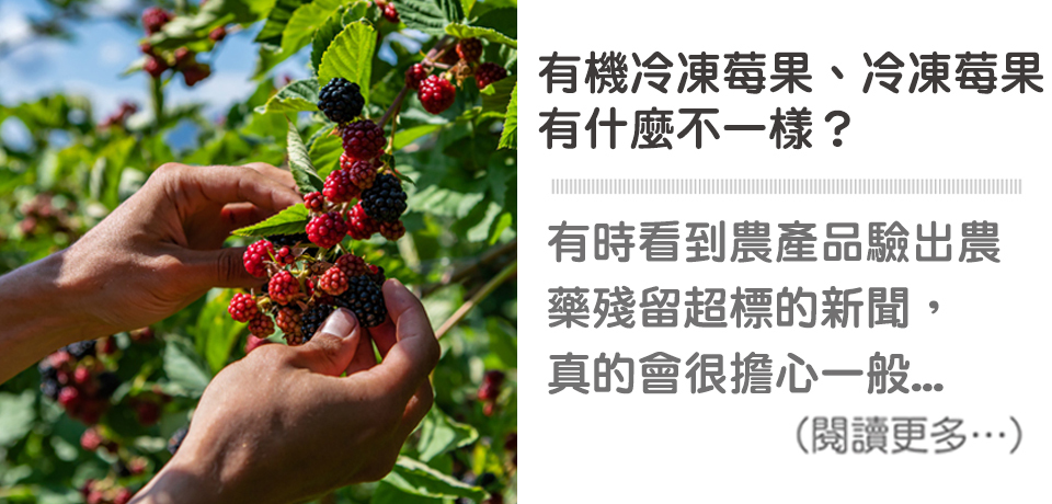 有機冷凍莓果、冷凍莓果，有什麼不一樣？🤔 ∣ 天時莓果