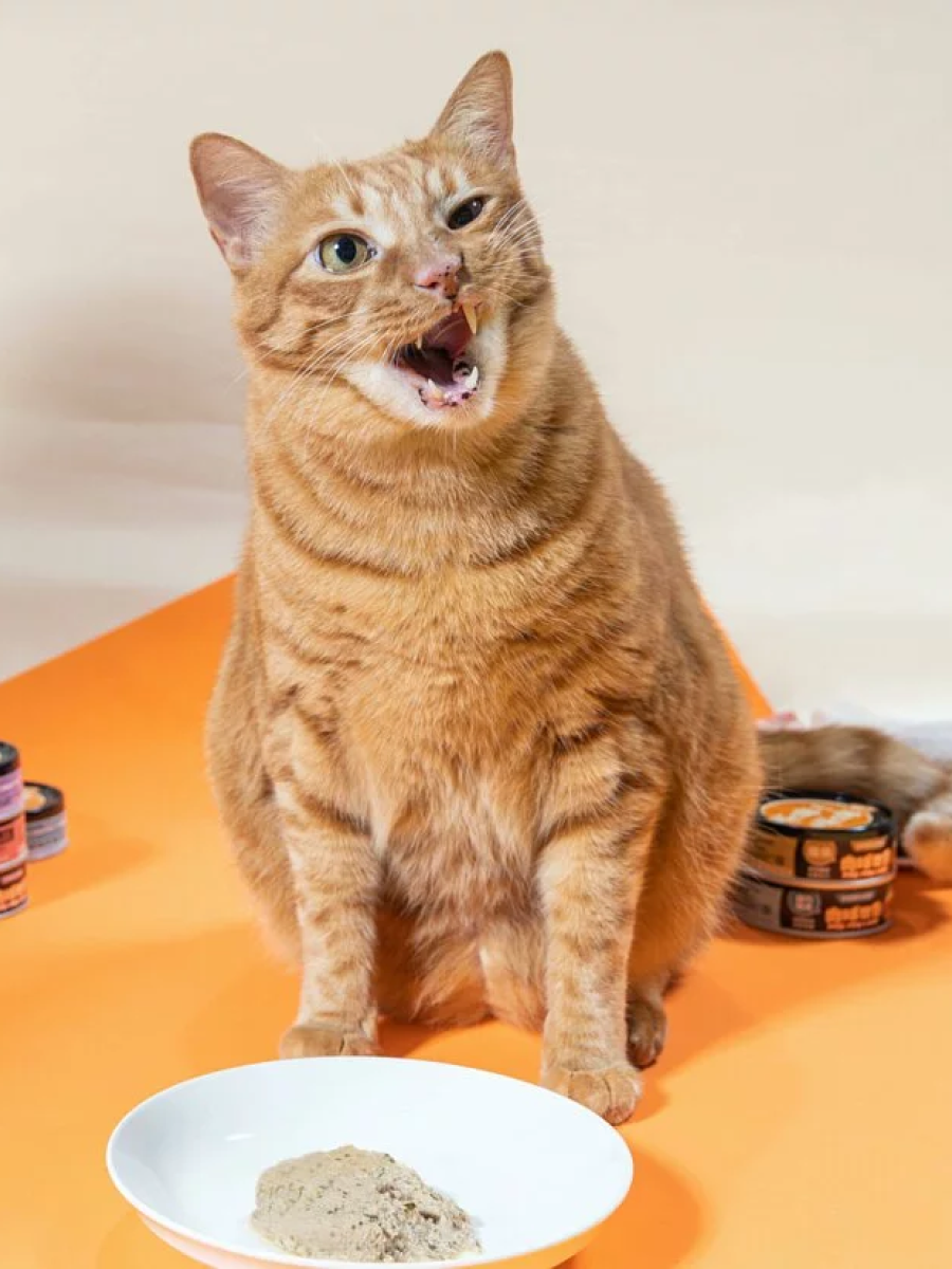 【肉球世界】歪嘴貓主食罐｜鮪魚 x 褐藻醣膠｜加強抵抗力