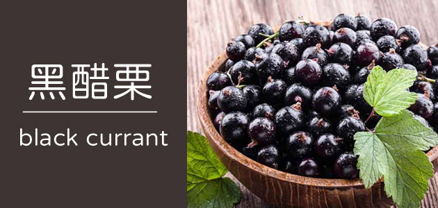 黑醋栗 ∣ 天時莓果