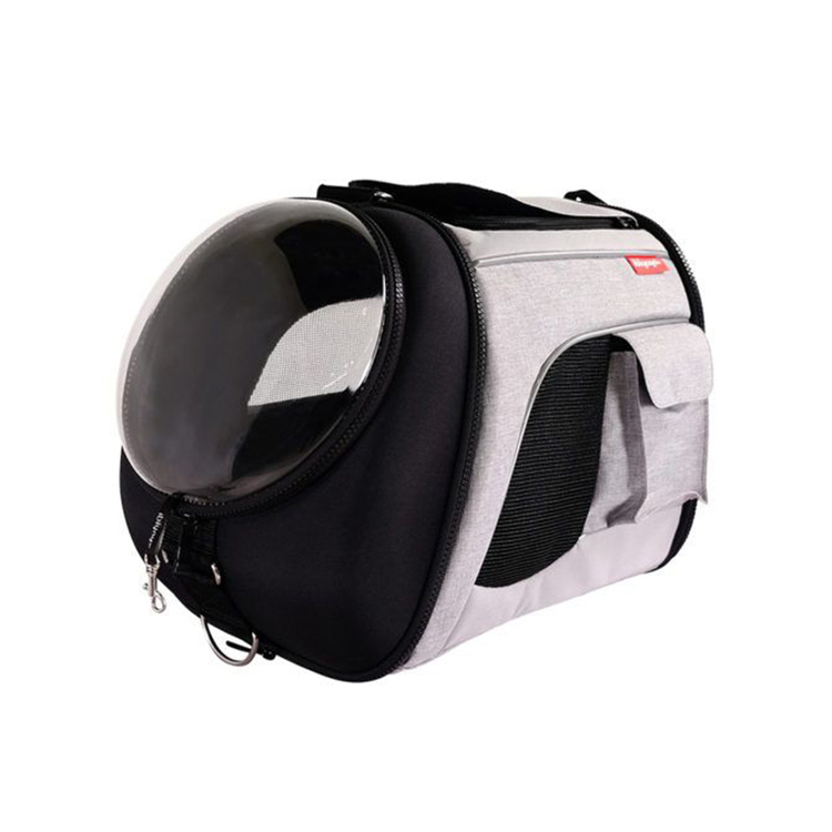 Ibiyaya Explorer Airline Transparent Carrier