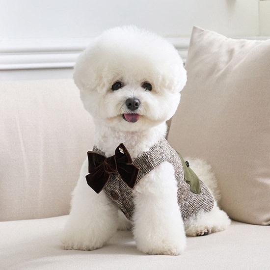 經典羊毛花呢 -背心-It’s sunny outside-寵物服飾