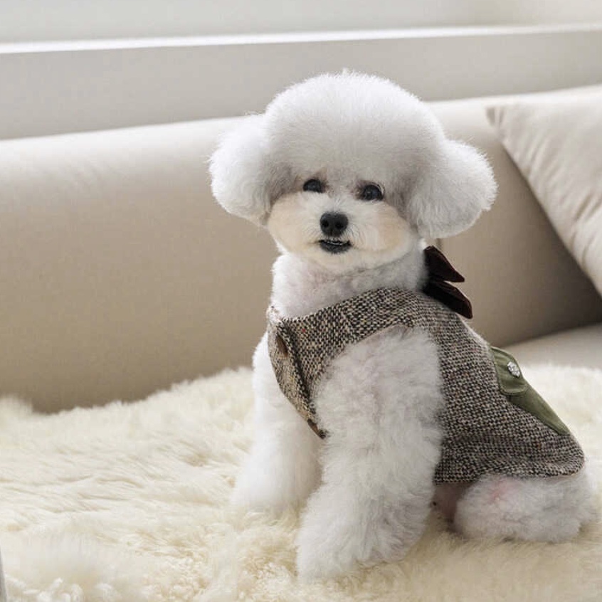 經典羊毛花呢 -背心-It’s sunny outside-寵物服飾