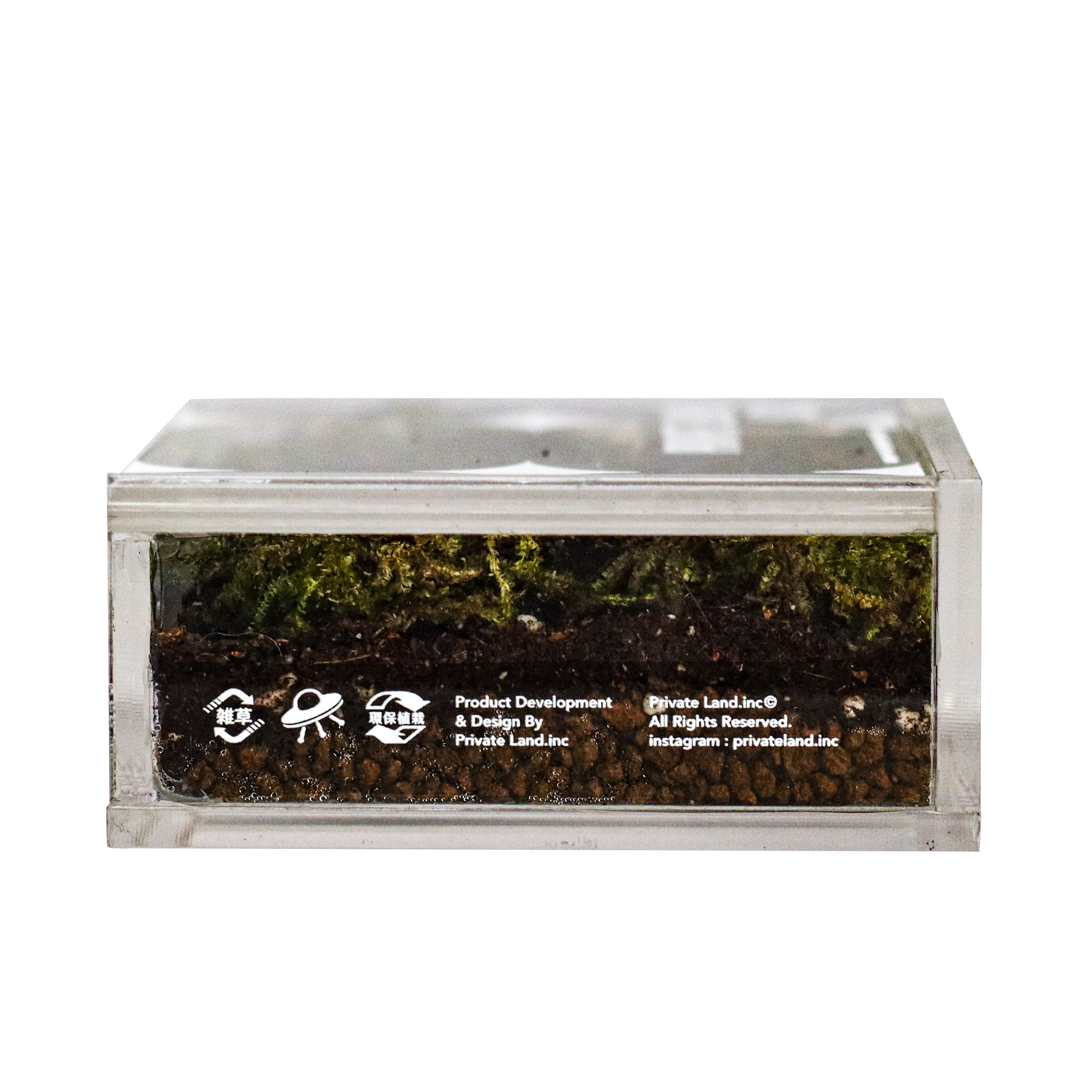 私人土地 PrivateLand.inc 苔蘚植生造景收藏盒