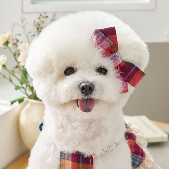 吊帶亞麻蕾絲層裙-紅格髮飾 髮夾-It’s sunny outside