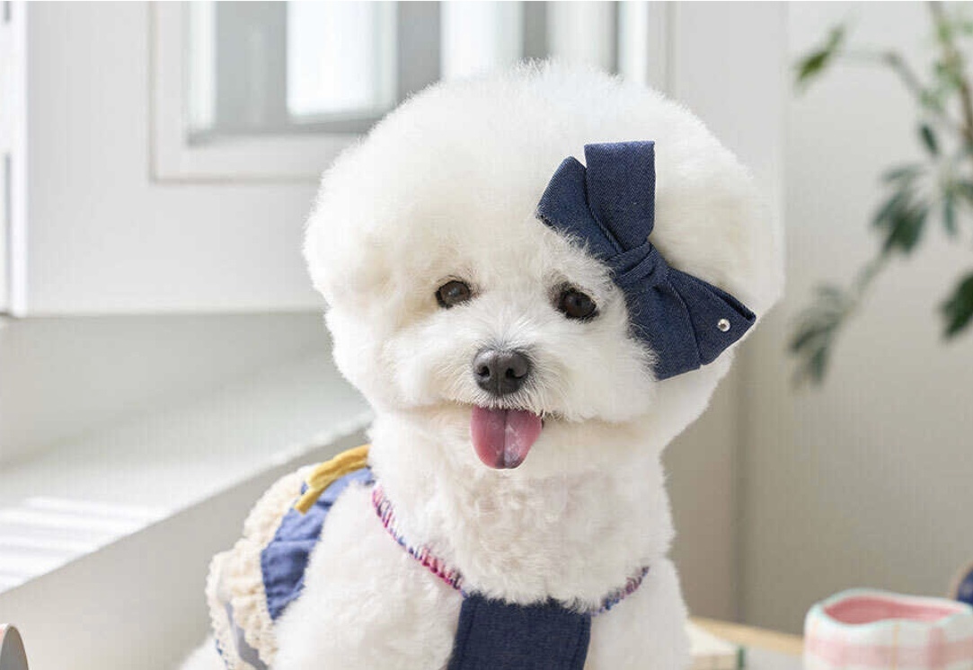 吊帶亞麻蕾絲層裙-單寧 髮飾 髮夾-It’s sunny outside