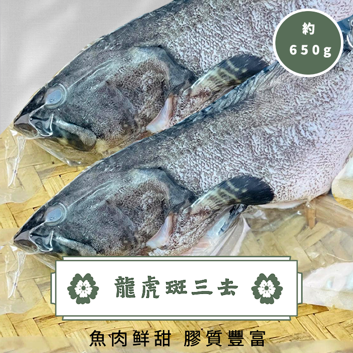 龍虎石斑 (龍虎斑三去)