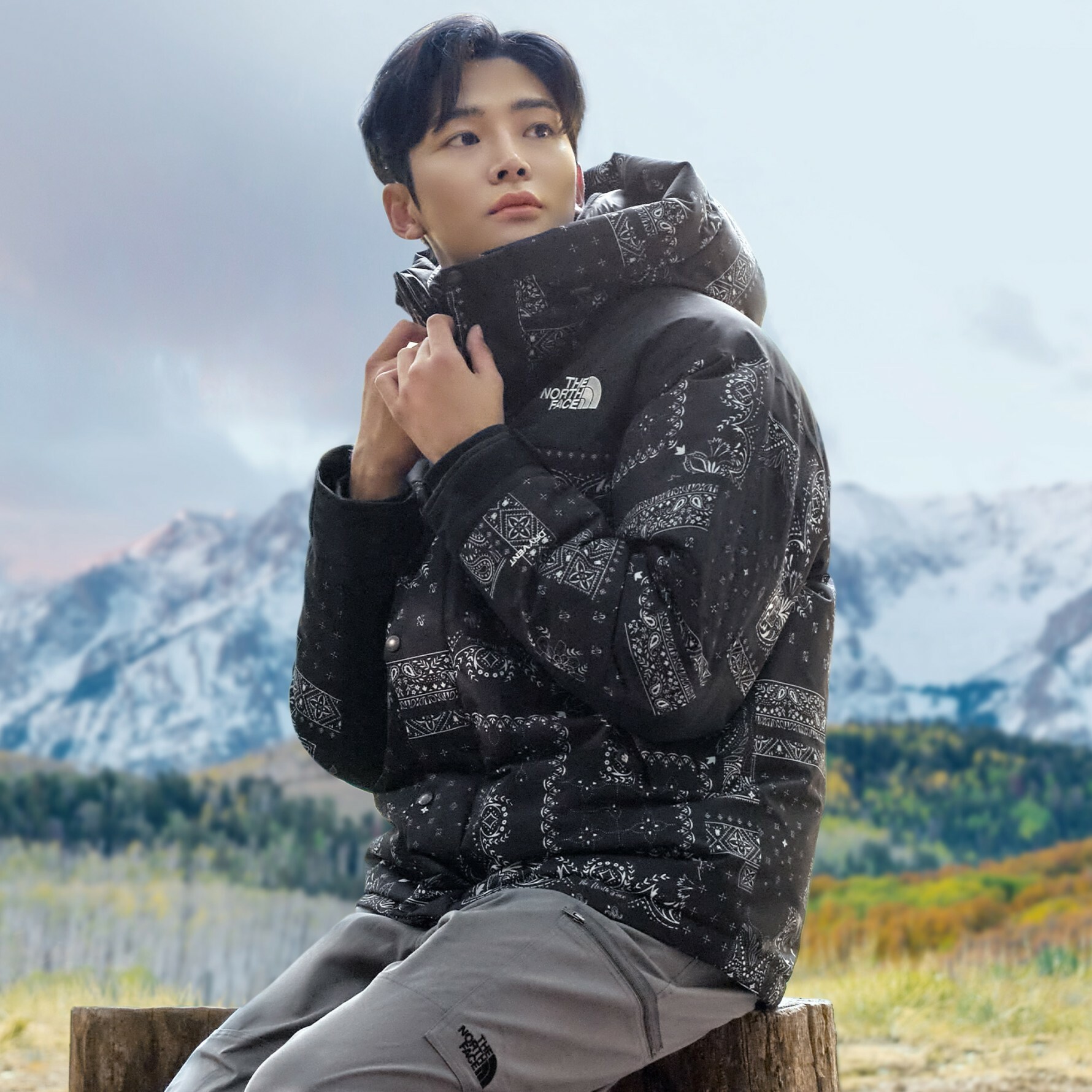 THE NORTH FACE NOVELTY ULTIMATE 連帽 羽絨外套 變形蟲 黑 NJ2DN63A