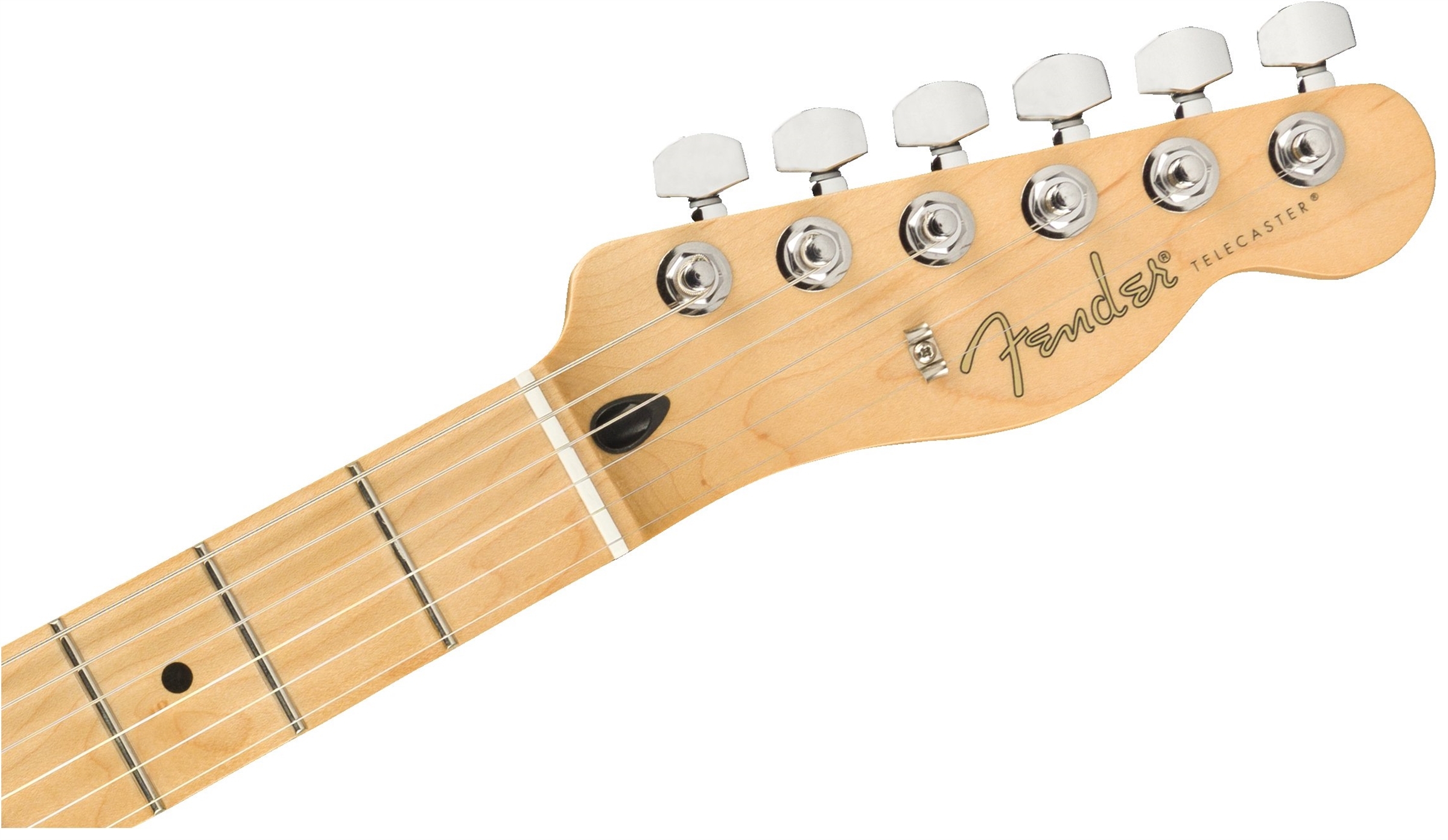 FENDER PLAYER TELE MN 單單楓木指板電吉他