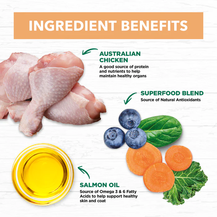 IVORY COAT Grain Free Kitten - Chicken 4kg