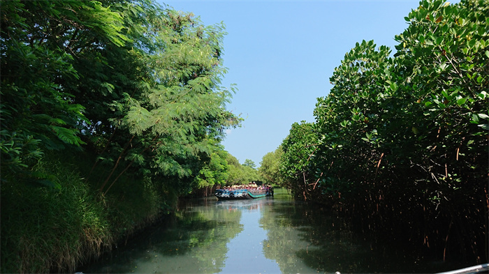 四草綠色隧道船票