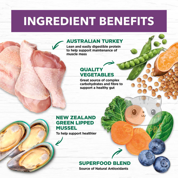 Ivory Coat Turkey Senior Dog Food 2kg