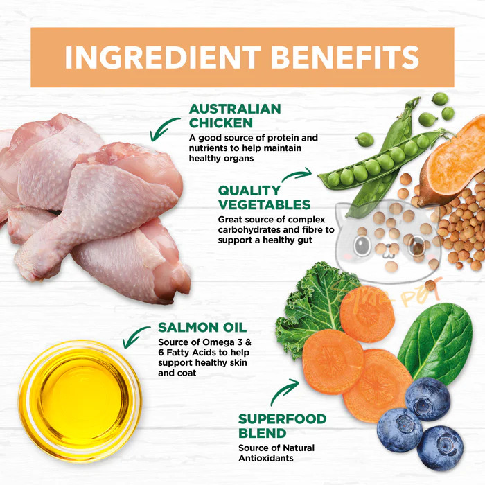 Ivory Coat Chicken Grain Free Puppy Food 2kg