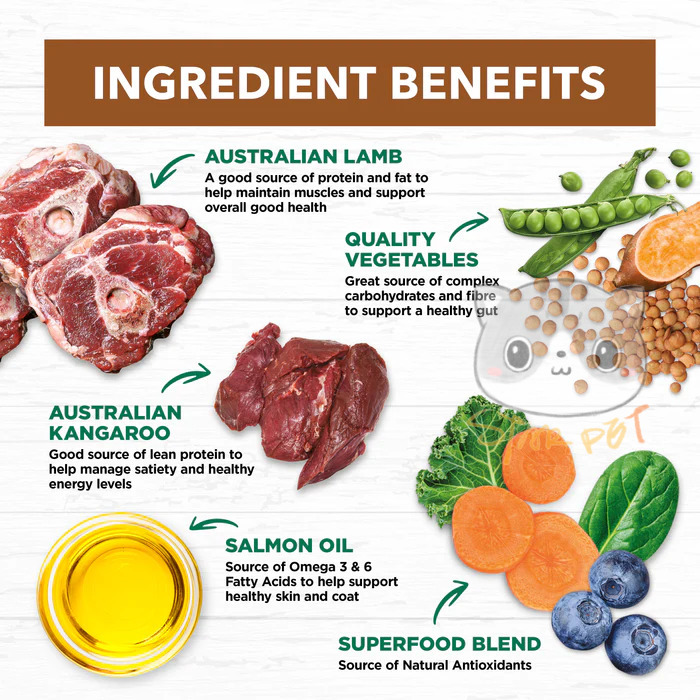 Ivory Coat Lamb & Kangaroo Grain Free Adult Dog 2kg