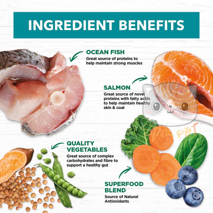 Ivory Coat Ocean Fish & Salmon Grain Free Adult Dog 2kg