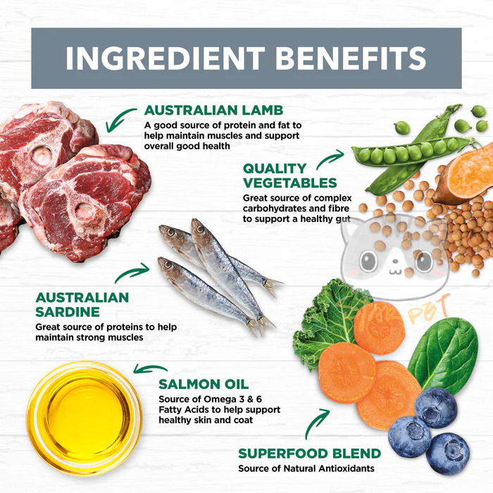 Ivory Coat Lamb & Sardine Grain Free Adult Dog 2kg