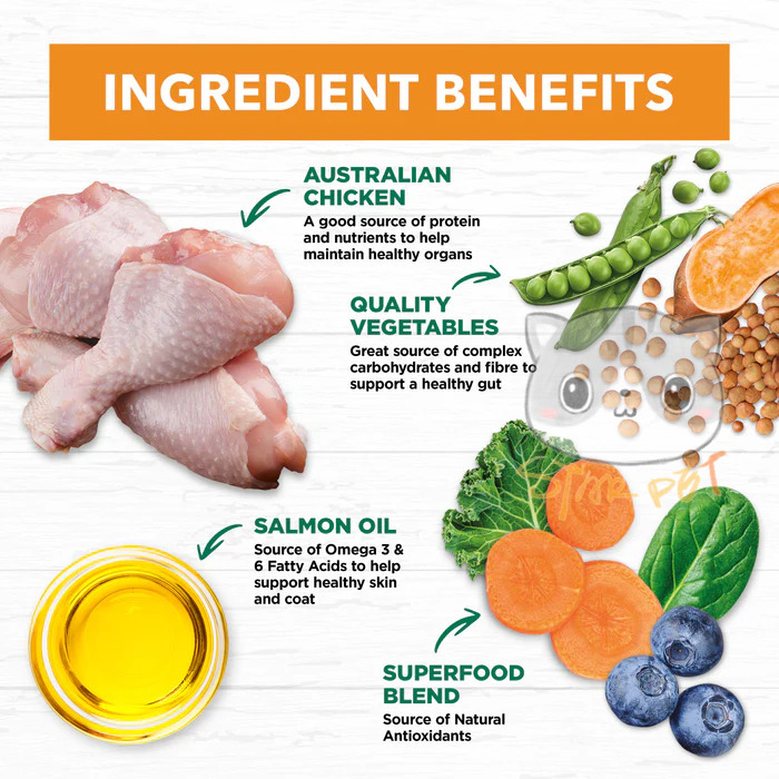 Ivory Coat Chicken Grain Free Adult Dog 2kg