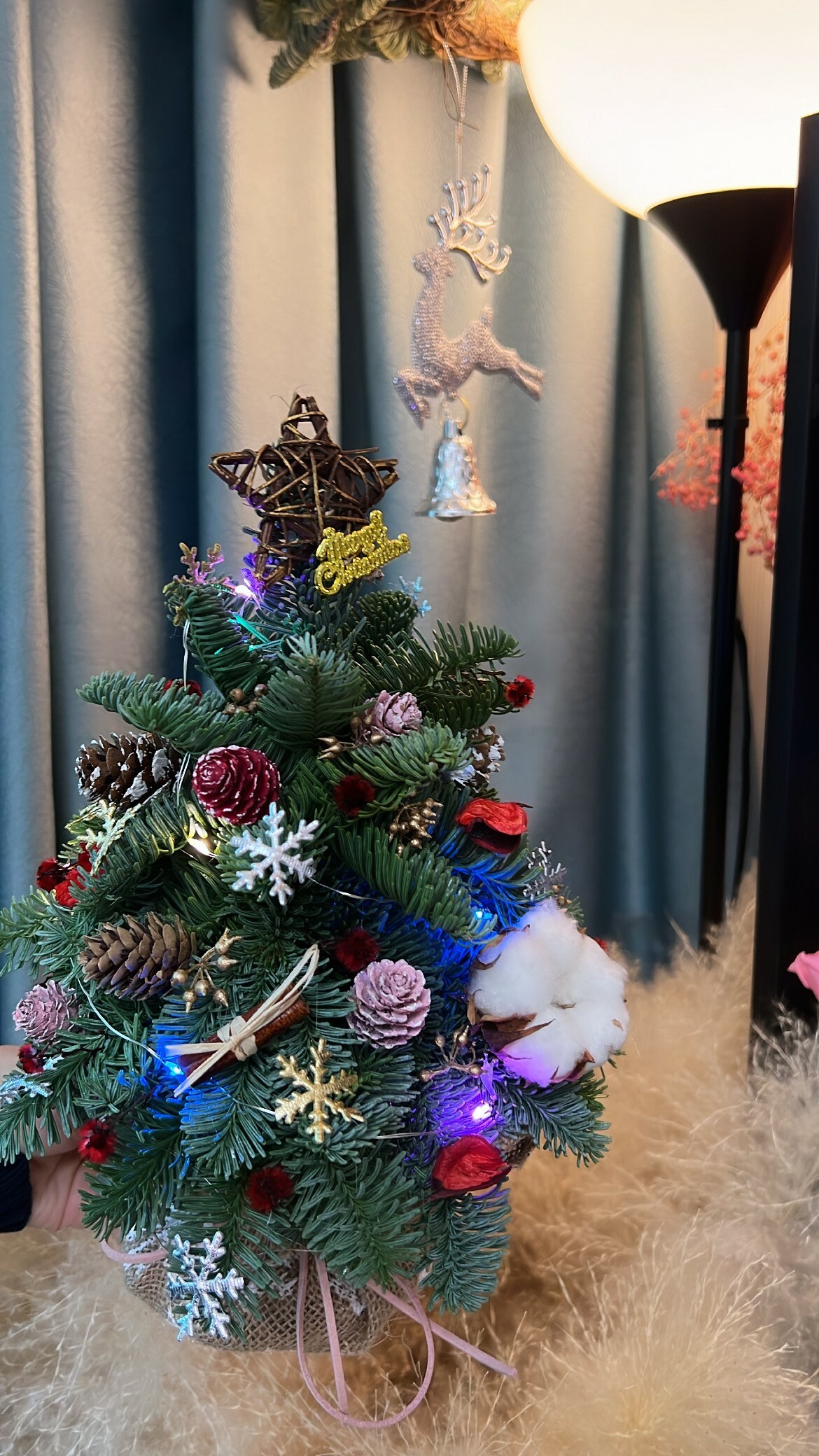 💢現貨購買-期間限定🎄小型Noble Fir貴族松聖誕樹+ La Fleur 聖誕裝飾配件