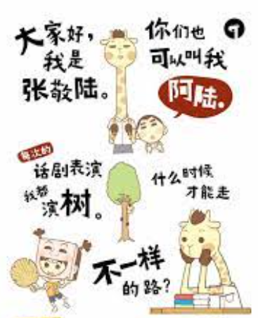 我们长得不一样