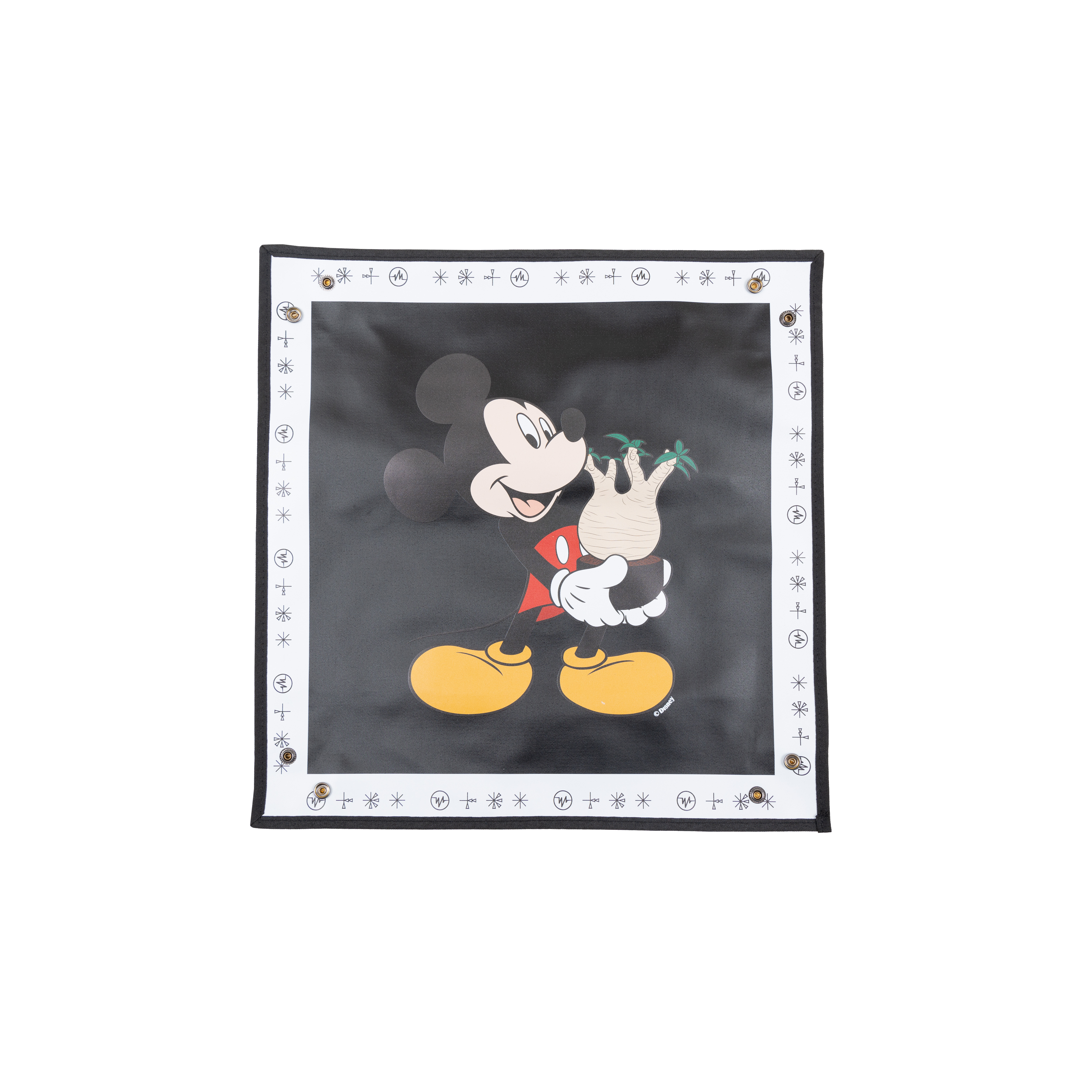 DISNEY SECRET GARDEN REPOTTING MAT IS22029