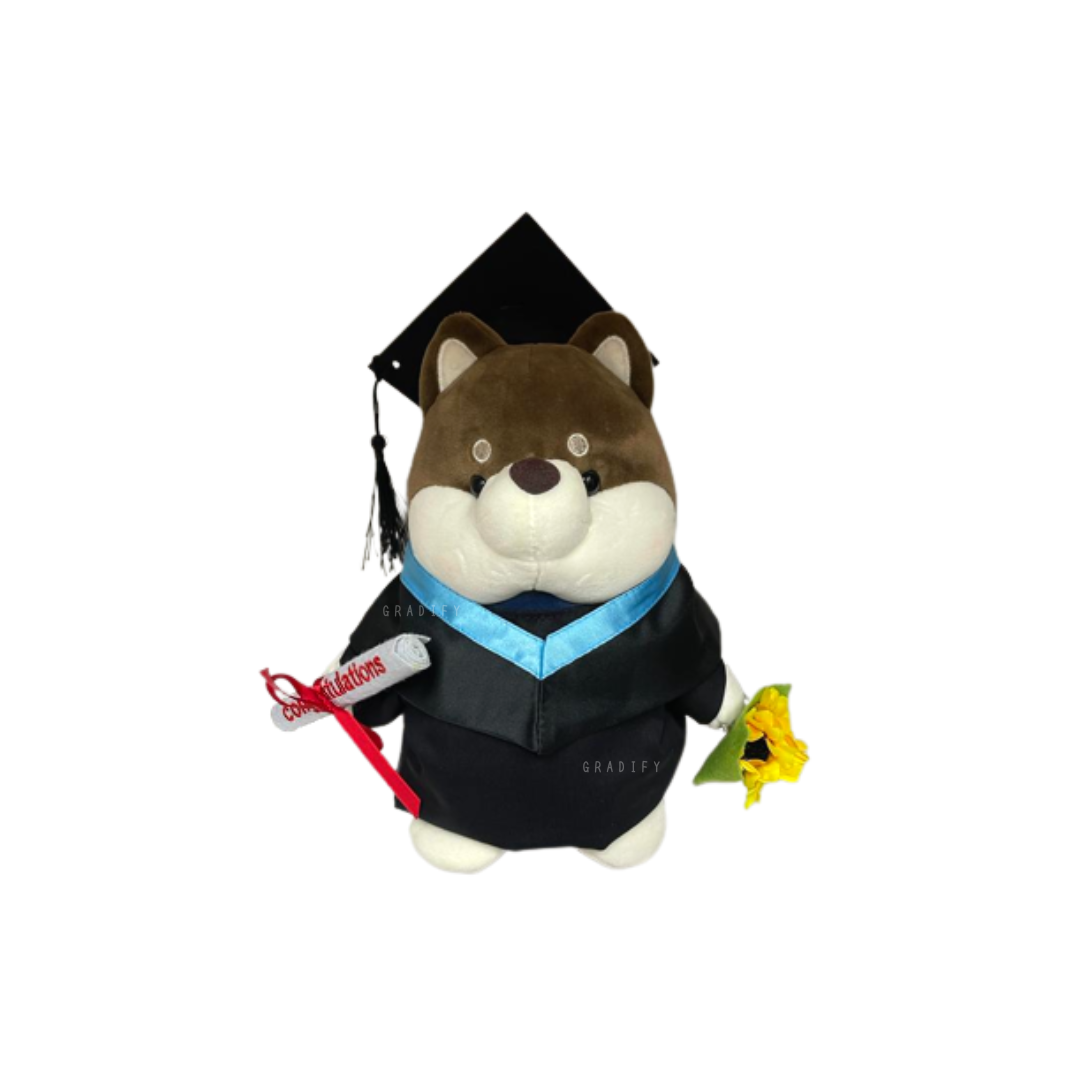 🎓 28cm 黑色小柴犬畢業公仔- 香港都會大學學士