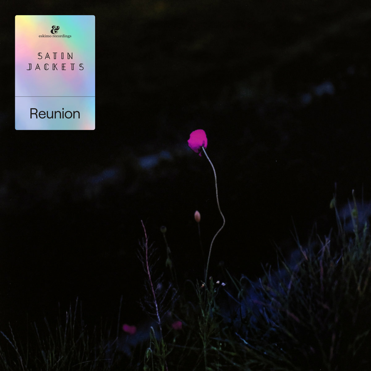 Satin Jackets《Reunion》（2LP）