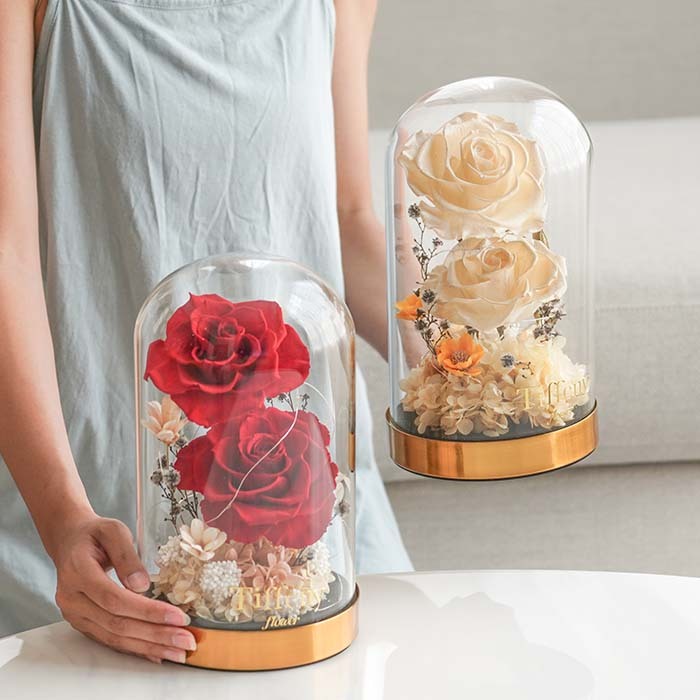 皇家巨輪永生花玻璃罩 / L /