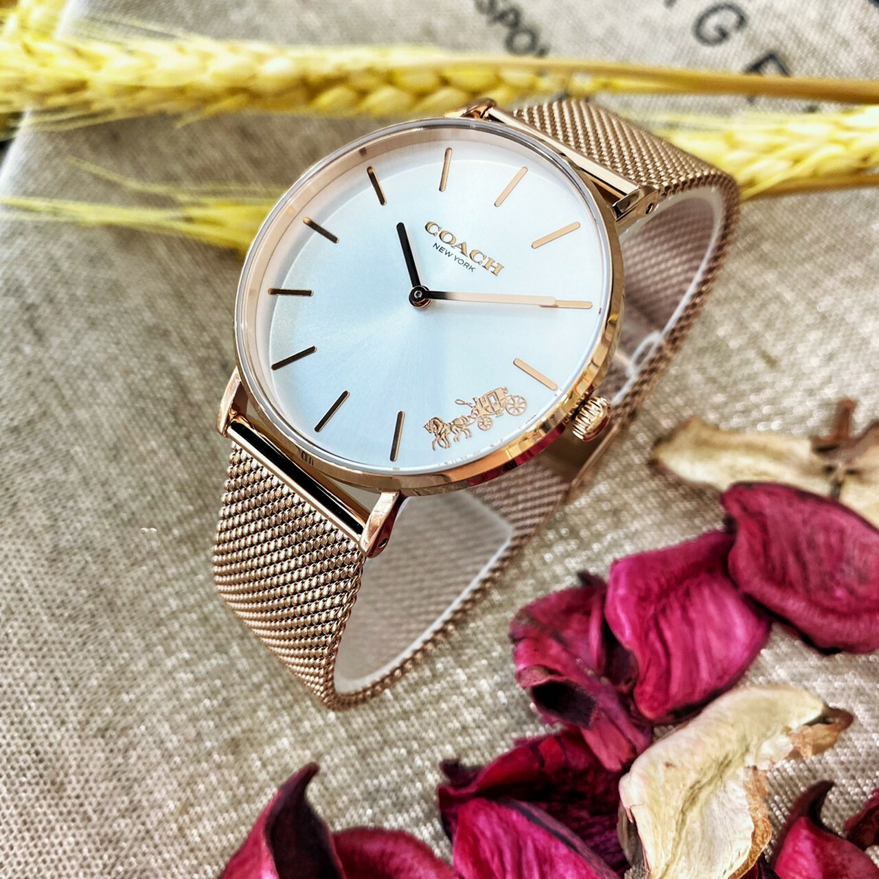 【COACH】Delancey 紐約馬車米蘭女錶 CO14503126 36mm 現代鐘錶