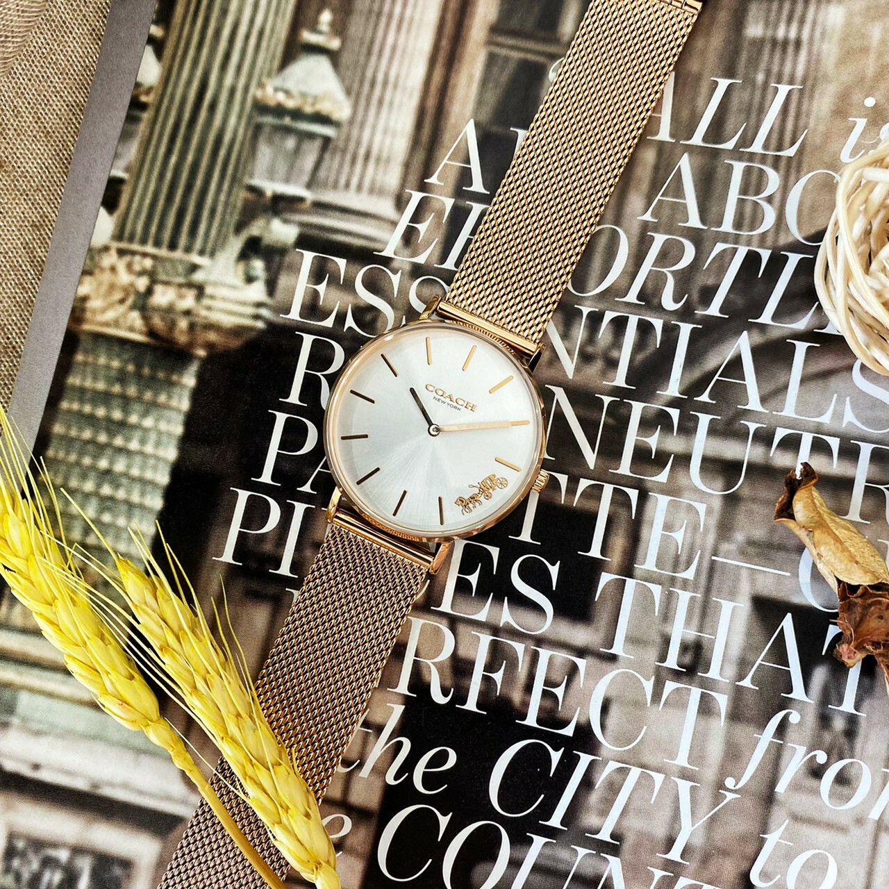 【COACH】Delancey 紐約馬車米蘭女錶 CO14503126 36mm 現代鐘錶