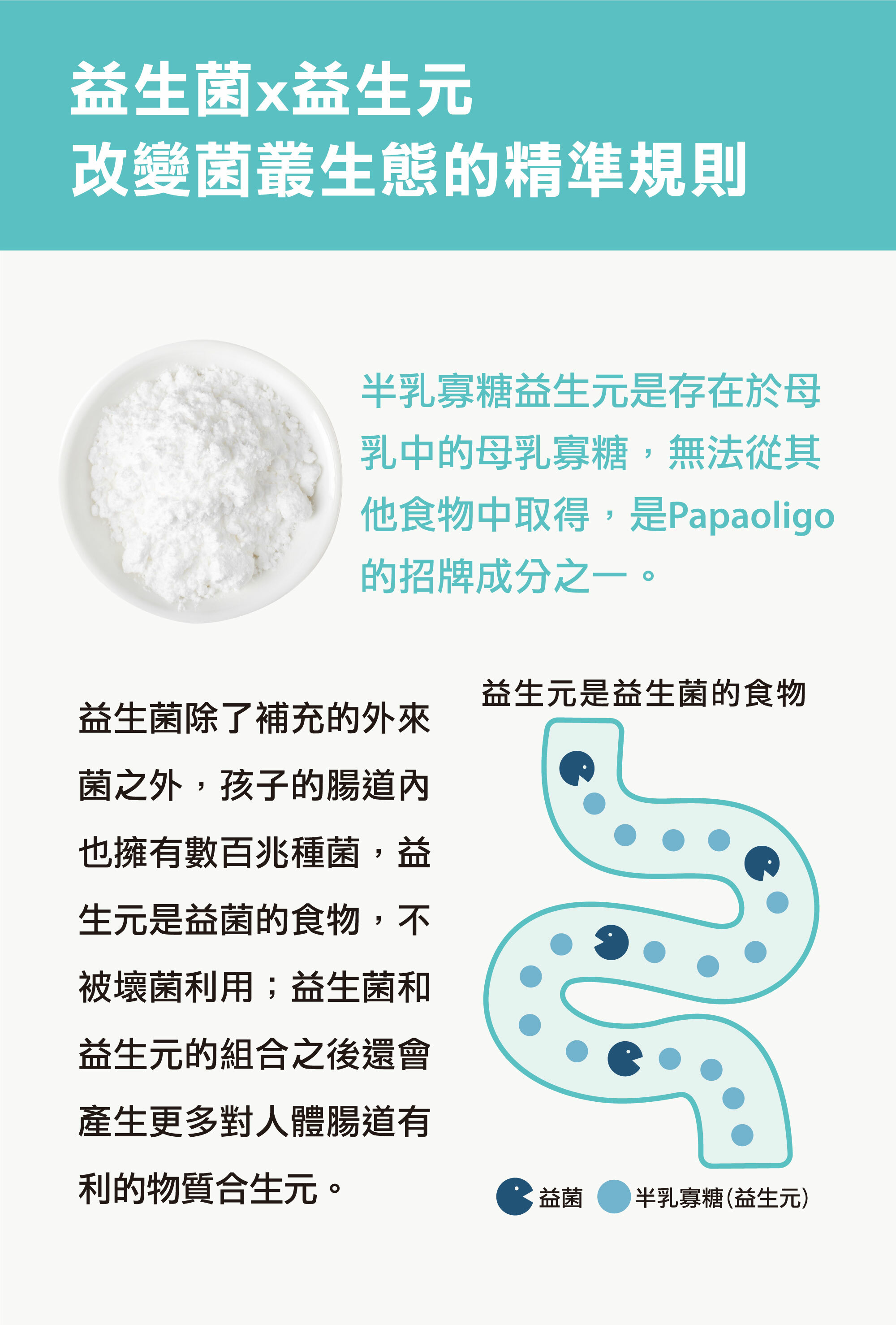 半乳寡糖益生元是存在於母乳中的母乳寡糖，無法從其他食物中取得，是Papaoligo的招牌成分之一