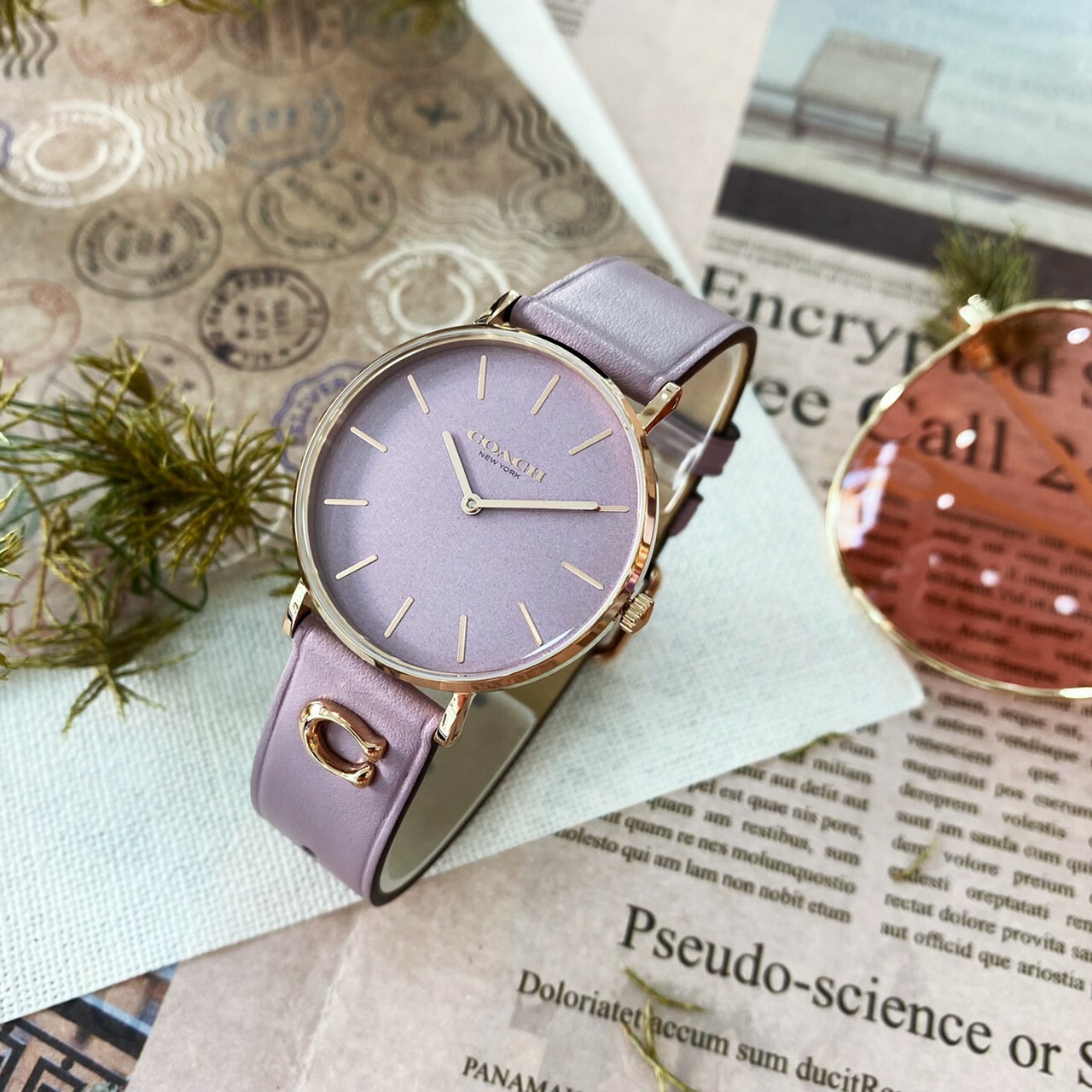 【COACH】Perry品牌C字皮錶帶女錶 CO14503924 36mm 現代鐘錶