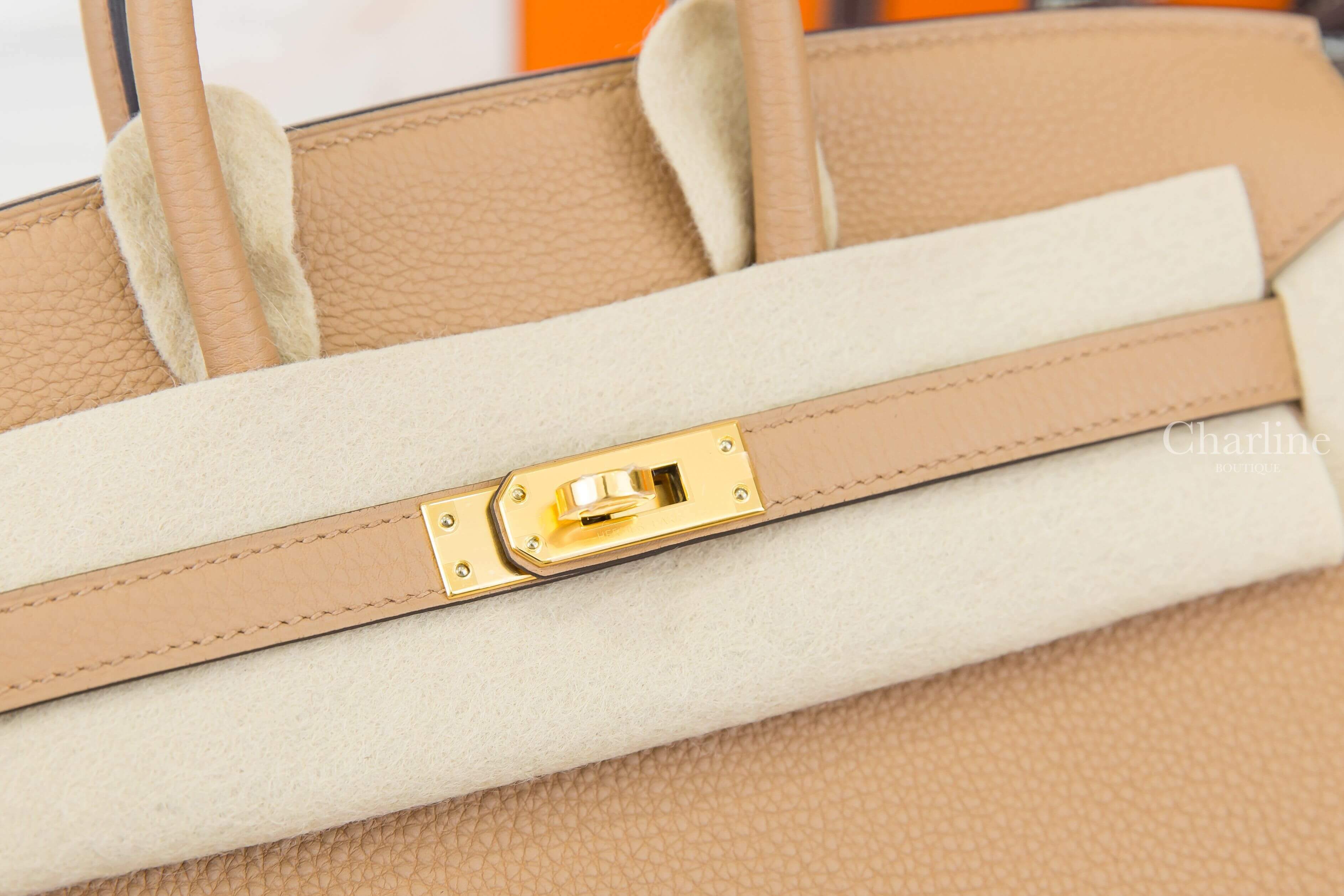 Hermès Birkin 25cm 0M Chai Togo 馬薩拉茶色金釦鉑金包