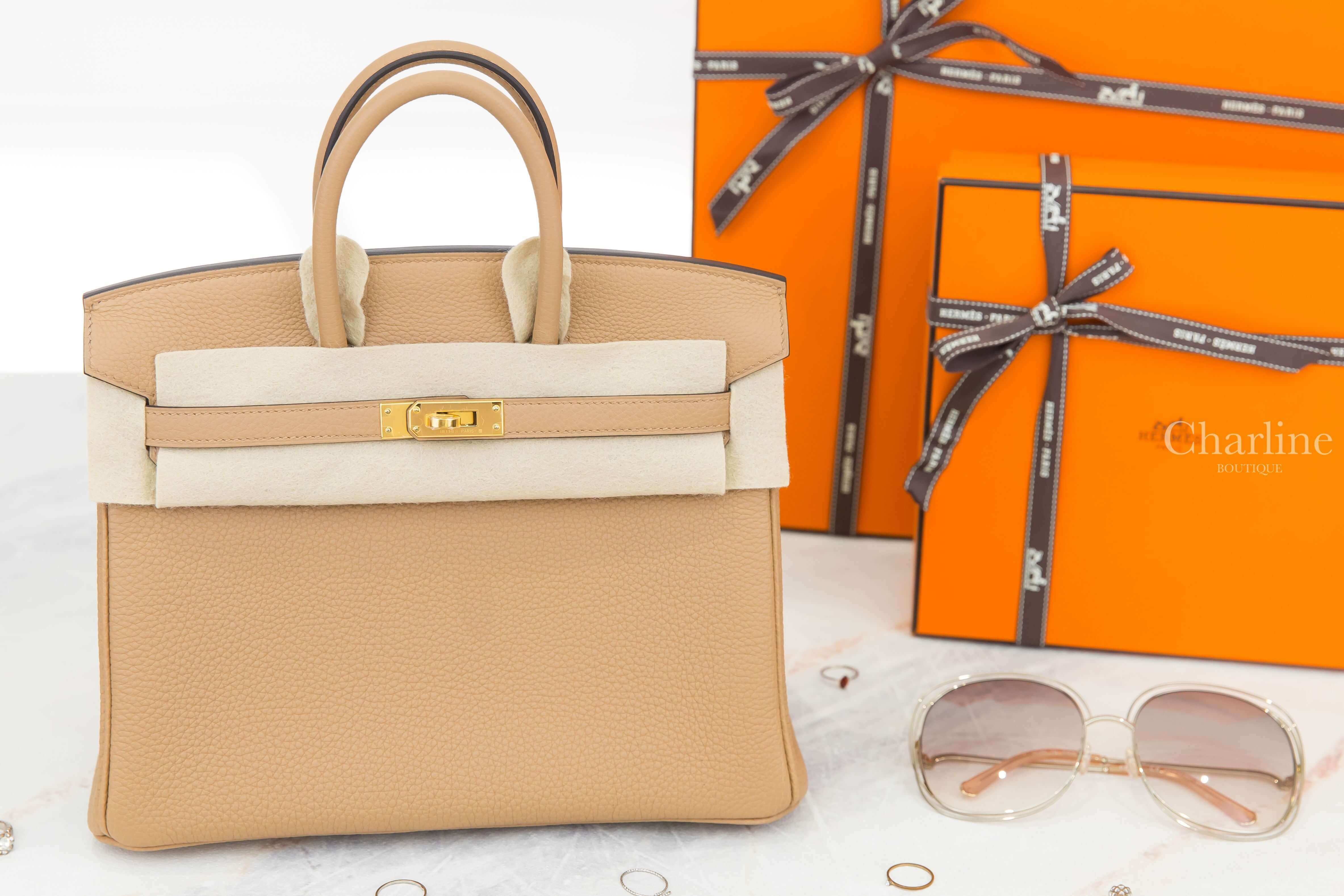 Hermès Birkin 25cm 0M Chai Togo 馬薩拉茶色金釦鉑金包